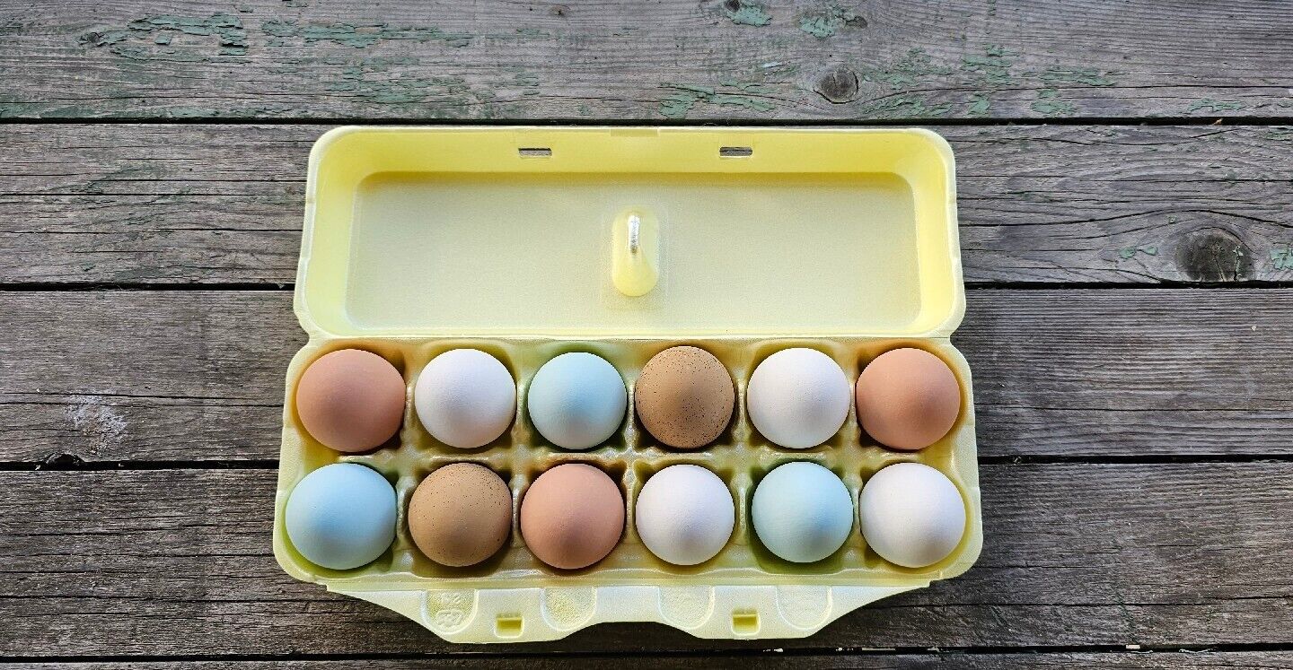 Styrofoam Egg Cartons (50 pack) Yellow