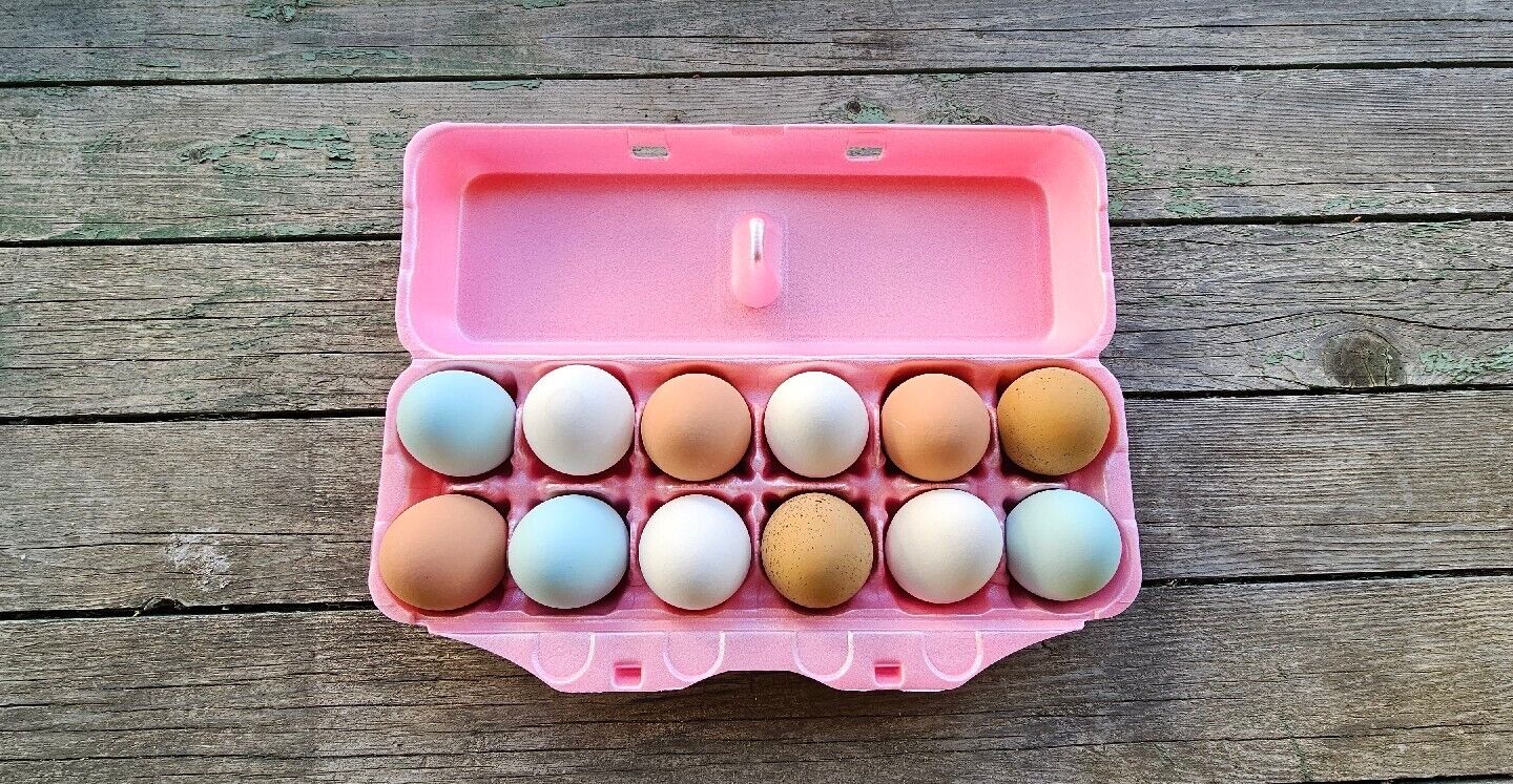 Styrofoam Egg Cartons (50 pack) Pink