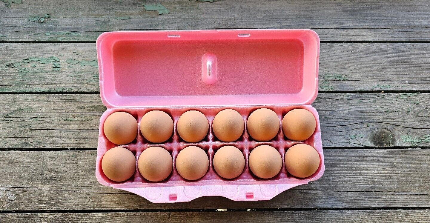 Styrofoam Egg Cartons (50 pack) Pink