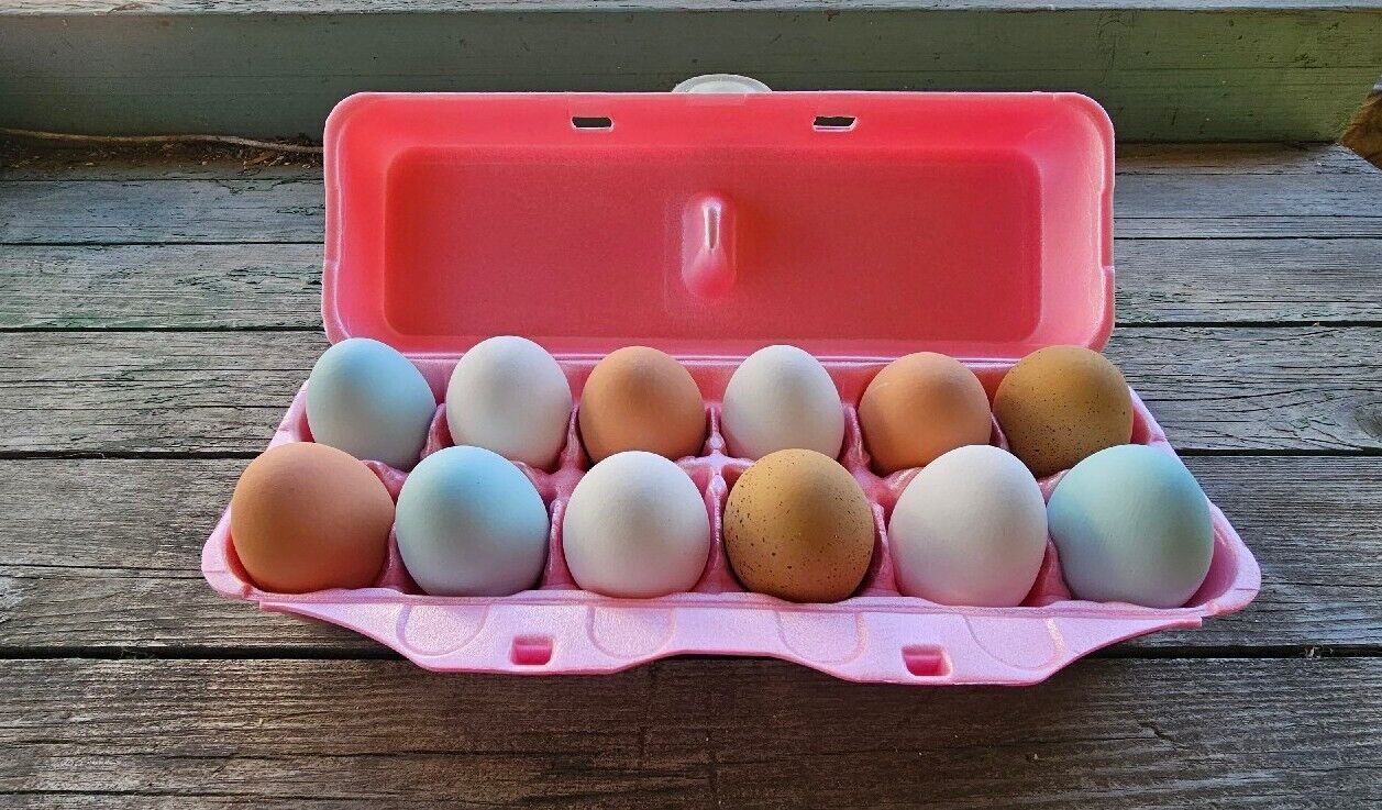 Styrofoam Egg Cartons (50 pack) Pink