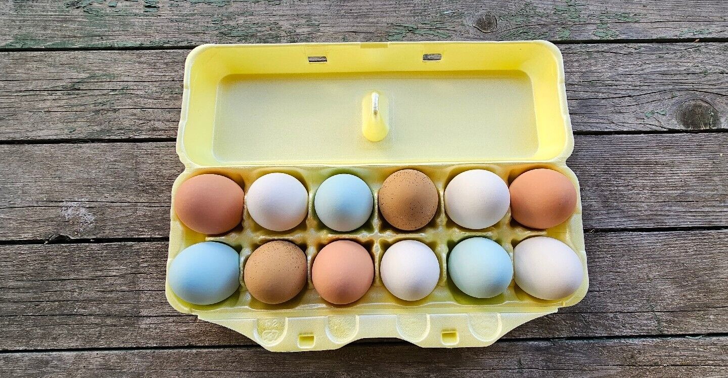 Styrofoam Egg Cartons (50 pack) Yellow
