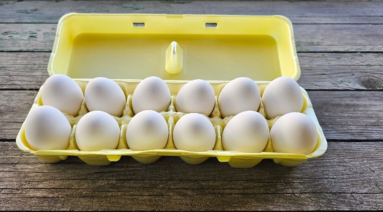 Styrofoam Egg Cartons (50 pack) Yellow