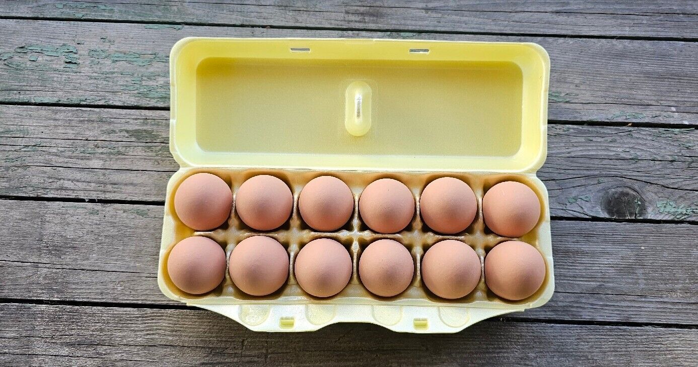 Styrofoam Egg Cartons (50 pack) Yellow